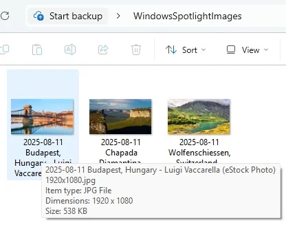 Spotlight Images_ 1 08112025 b27913.webp