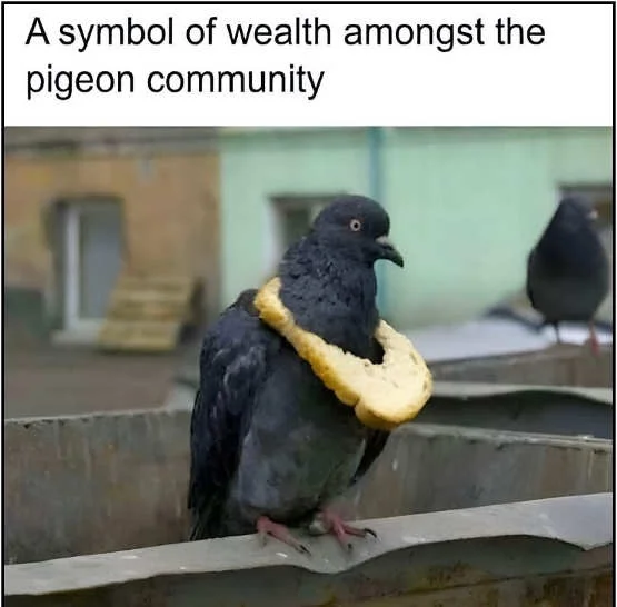 symbol-wealth-pigeon-community-bread-around-neck.webp