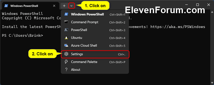 Terminal_Settings.png