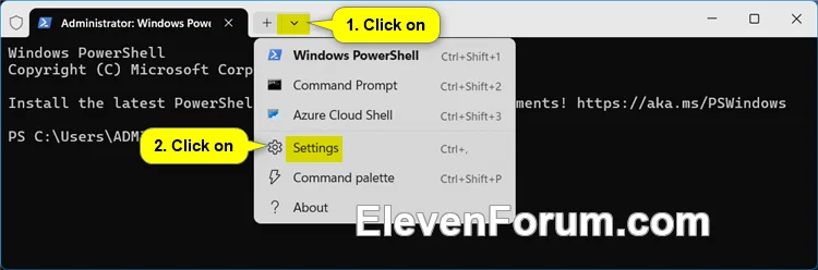 Terminal_settings.webp