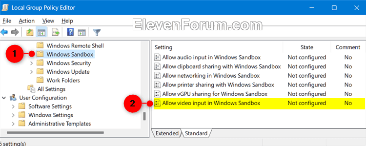 video_input_in_Windows_Sandbox_gpedit-1.png