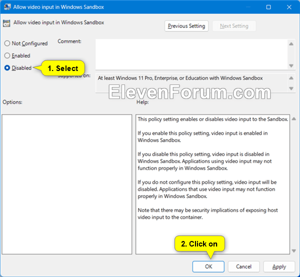 video_input_in_Windows_Sandbox_gpedit-2.png