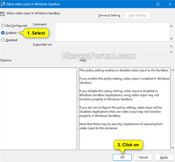video_input_in_Windows_Sandbox_gpedit-3.png