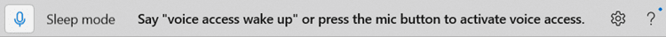 Voice_access_activate.png