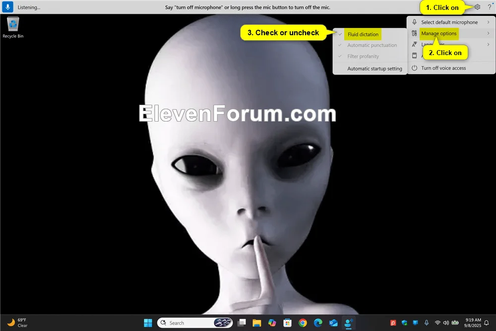 Voice_Access_fluid_dictation.webp