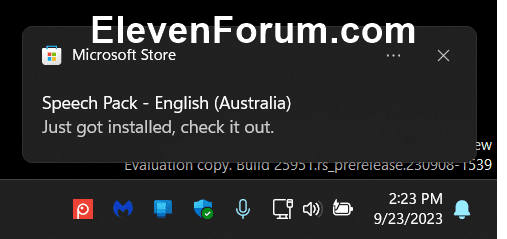 Voice_access_languages-4.png