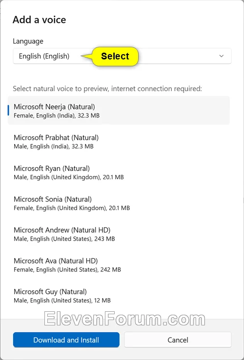 Voice_language.webp