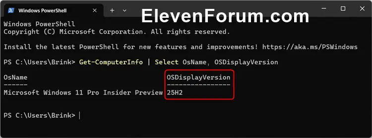 W11_version_command.webp