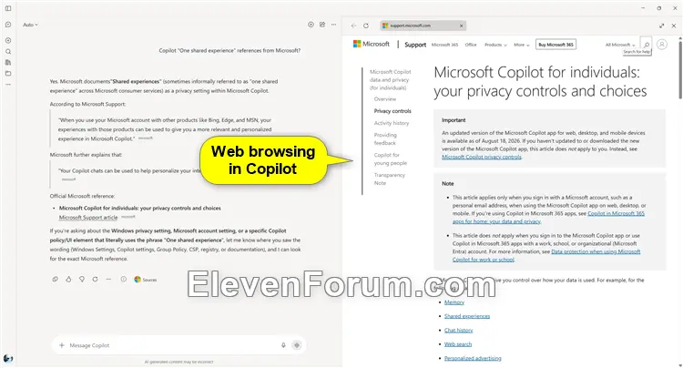 Web_browsing_in_Copilot.webp