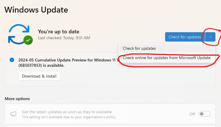 Windows update 2.png