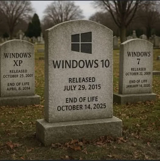 Windows.webp