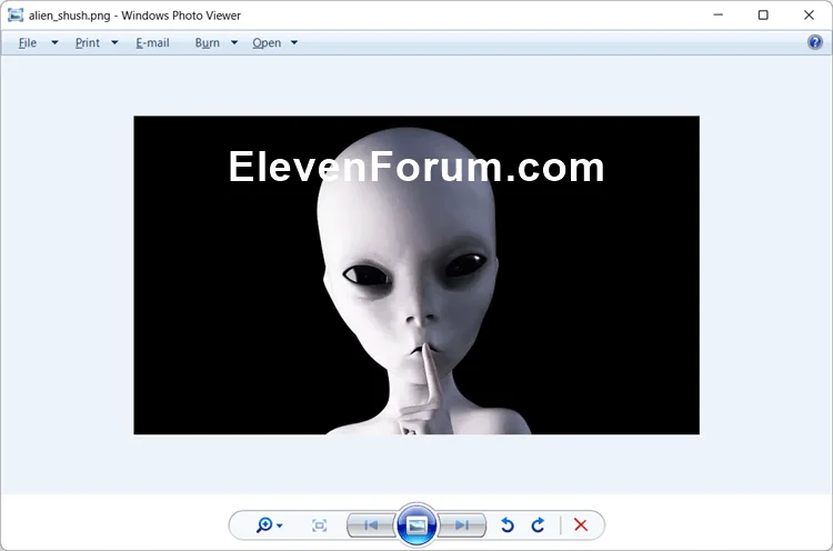 Windows_Photo_Viewer.webp