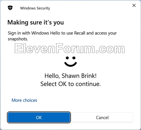 Windows_Security.webp
