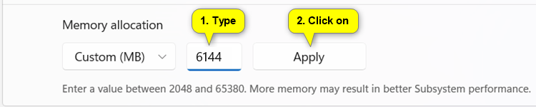 WSA_custom_memory_allocation.png