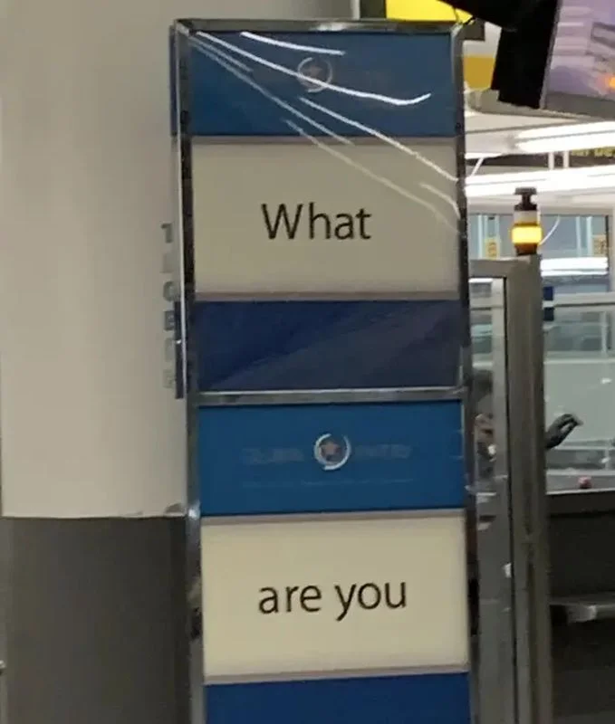 zYY0ZFTM-.webp