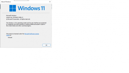 Windows 11.png