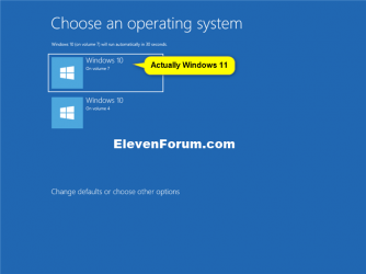 Dual_boot_Windows11_with_Windows10-1.png