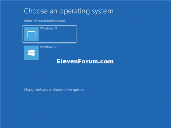 Dual_boot_Windows11_with_Windows10-2.png