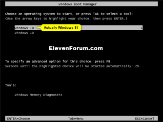 Dual_boot_Windows11_with_Windows10-3.png