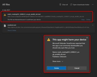 Edge telling download is not safe 2.jpg