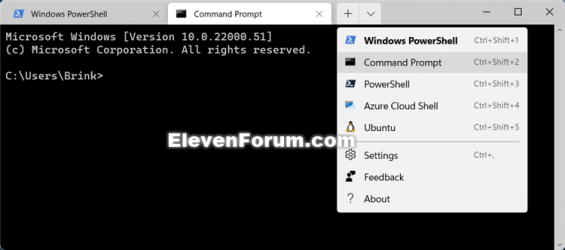 Windows_Terminal_command_prompt.png