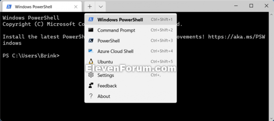 Windows_Terminal_PowerShell.png