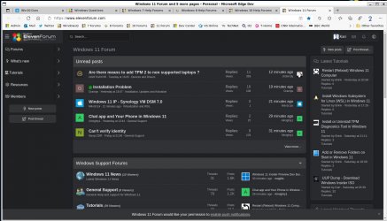Edge as App with GUI in W11 WSL.jpg