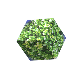Image1.png
