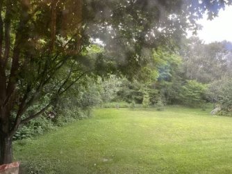 Office view July 24.jpg