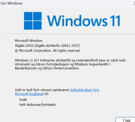 Skjámynd 2024-07-04 124515.png