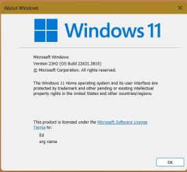 windows.jpg