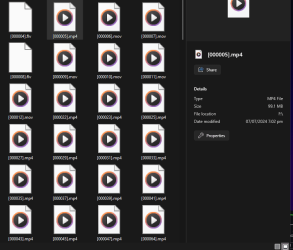 Screenshot 2024-07-10 091059.png