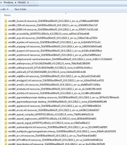 winsxs-amd64.jpg