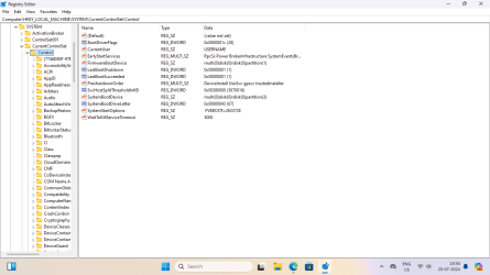 Screenshot 2024-07-25 195606 Windows 11 Pro.png