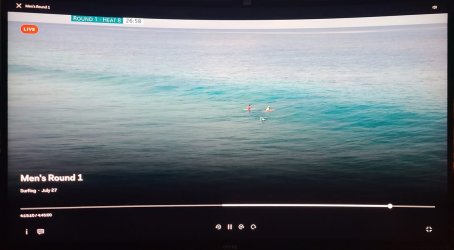 surfing.jpg