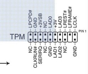 TPM- Module-pin.jpg