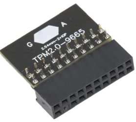 TPM-Module.jpg