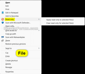 Read-only_file_context_menu.png