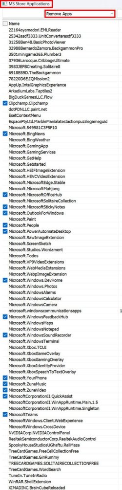 Sys_Minion MS Store.jpg