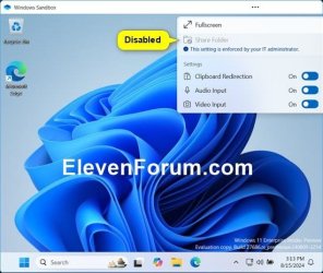 Windows_Sandbox_share_folder-disabled.jpg