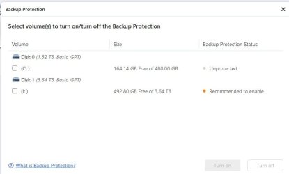 EASEUS Backup Protection.JPG