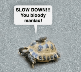 2024-08-30_11h38_17.png