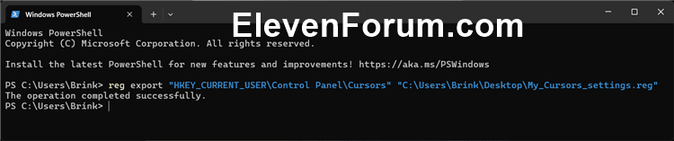 reg-export_command.png