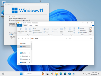 Windows 11 x64-2024-09-19-10-31-19.png