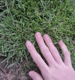 1727052395650.jpeg