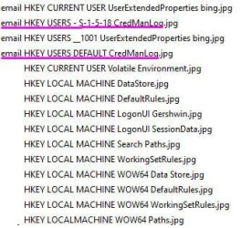 Registry entries.jpg