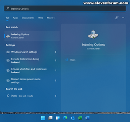 01 - Open Indexing Options.png