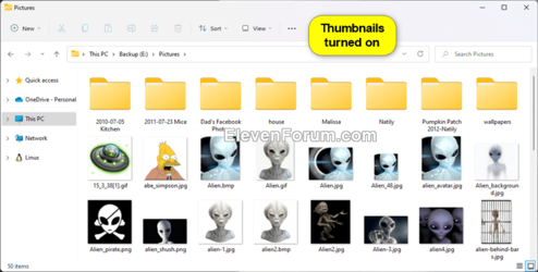 Thumbnails_on_File_Explorer.png
