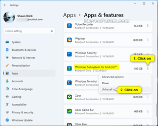 Uinstall_WSA_Settings-2.png