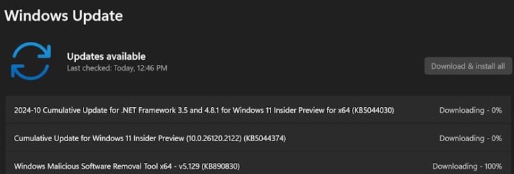 Screenshot 2024-10-11 124709.jpg